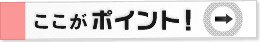 ここがポイント！